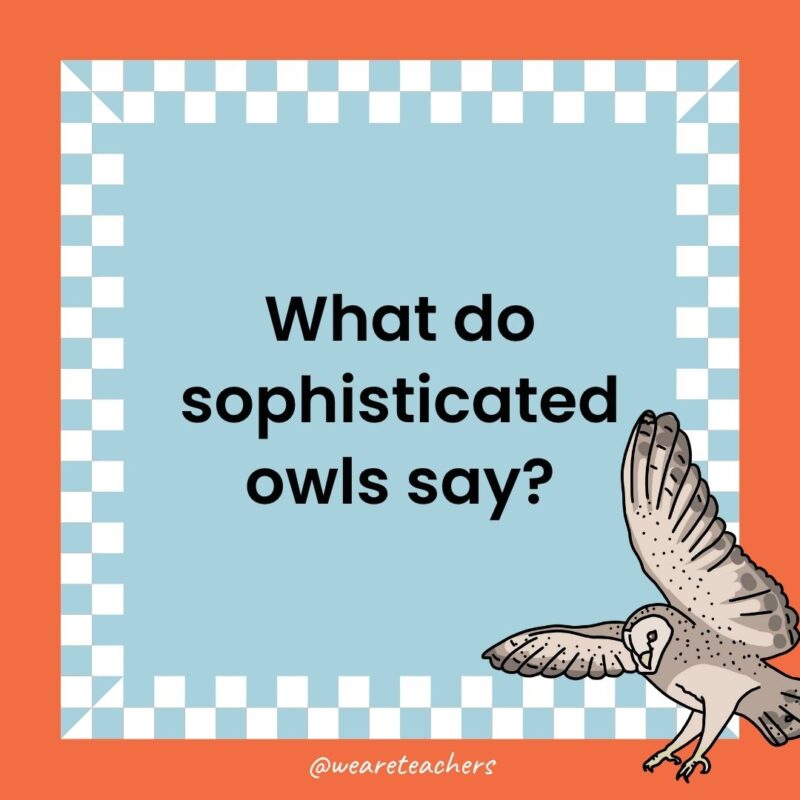 Owl Jokes for Kids a joke that states: What do sophisticated owls say?