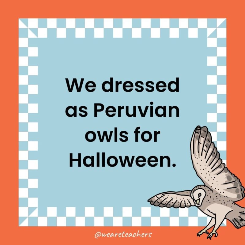 Owl Jokes for Kids a joke that states: We dressed as Peruvian owls for Halloween.