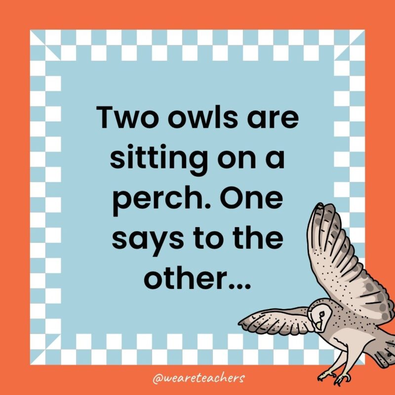 Owl Jokes for Kids a joke that states: Two owls are sitting on a perch. One says to the other...