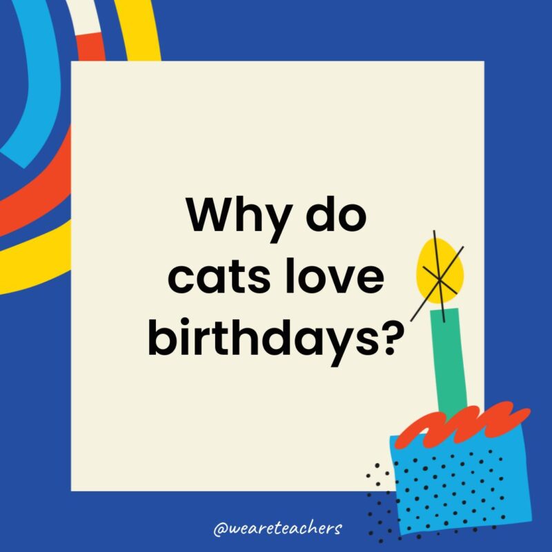 Why do cats love birthdays?
