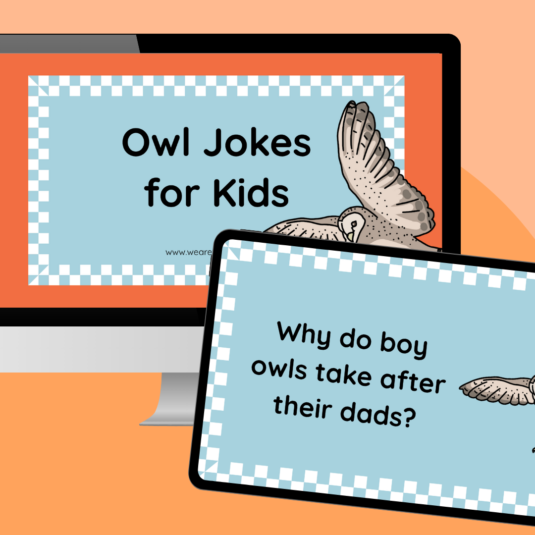 Owl Jokes for Kids an image featuring owl jokes google slides