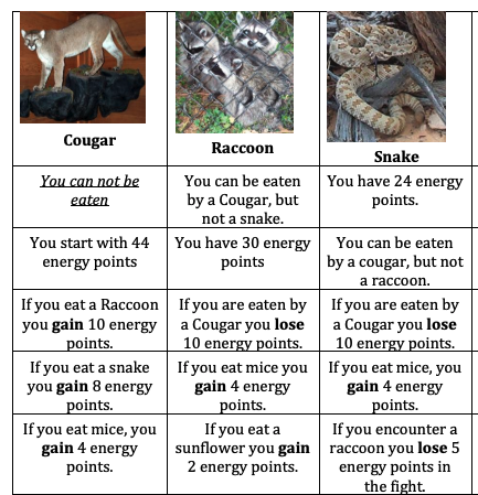 Sample cards for an energy transfer food web activity game