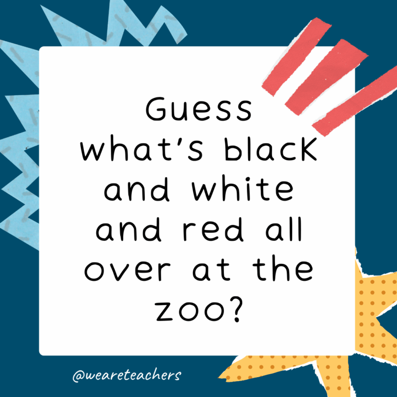 Guess What Jokes for Kids