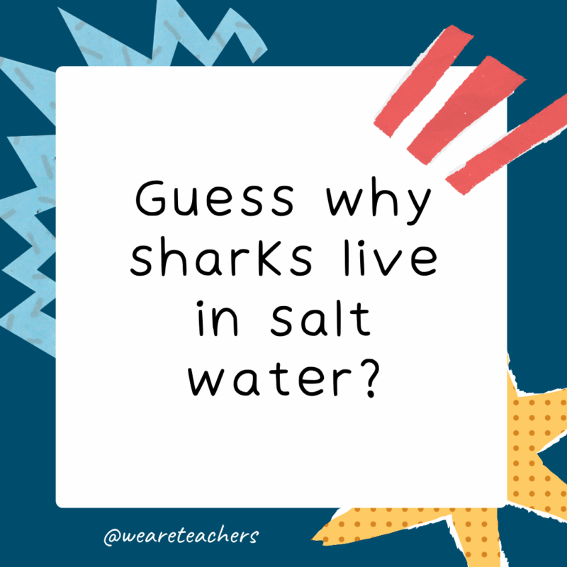 Guess What Jokes for Kids