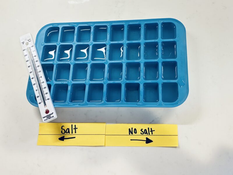 an image of an ice cube tray filled with water and salt water, a thermometer and two labels showing which cubes are water and which ones are salt water