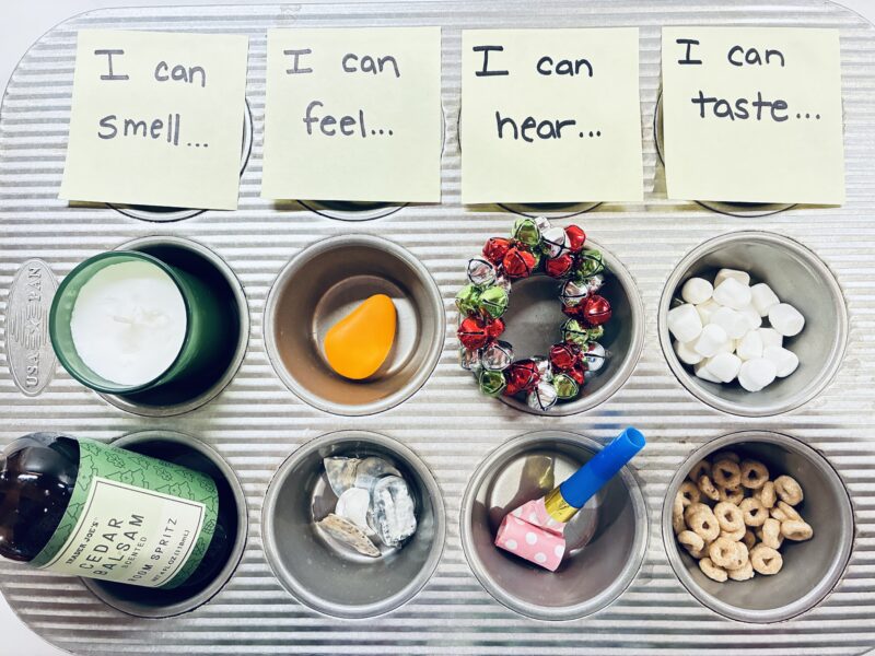 a muffin tin of various objects that students organize based on different senses