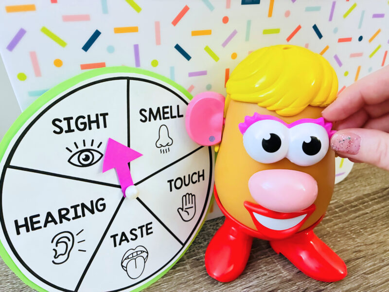 a photo of a Mrs. Potato Head game where students spin on a sense (eyes, ears, nose...) to add to Mrs. Potato Head