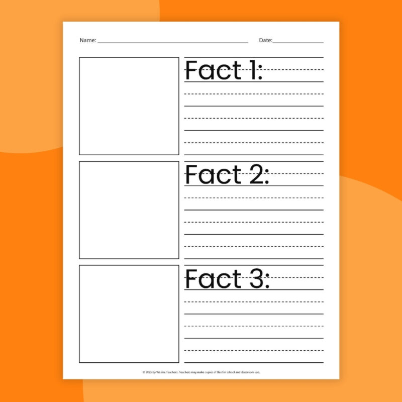 Opinion writing graphic organizer facts page on an orange background