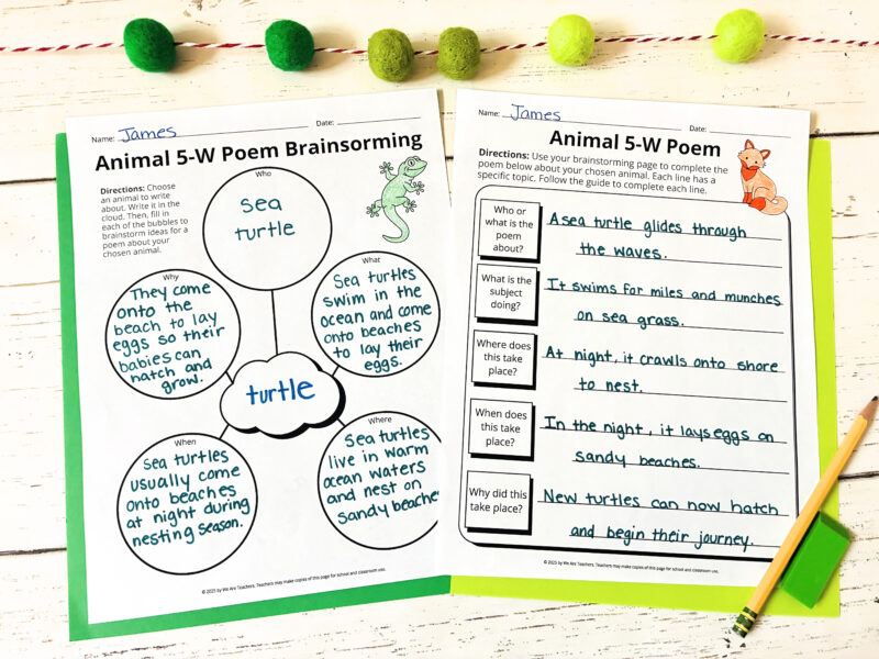 an example of two 5W poem worksheets that describe sea turtles