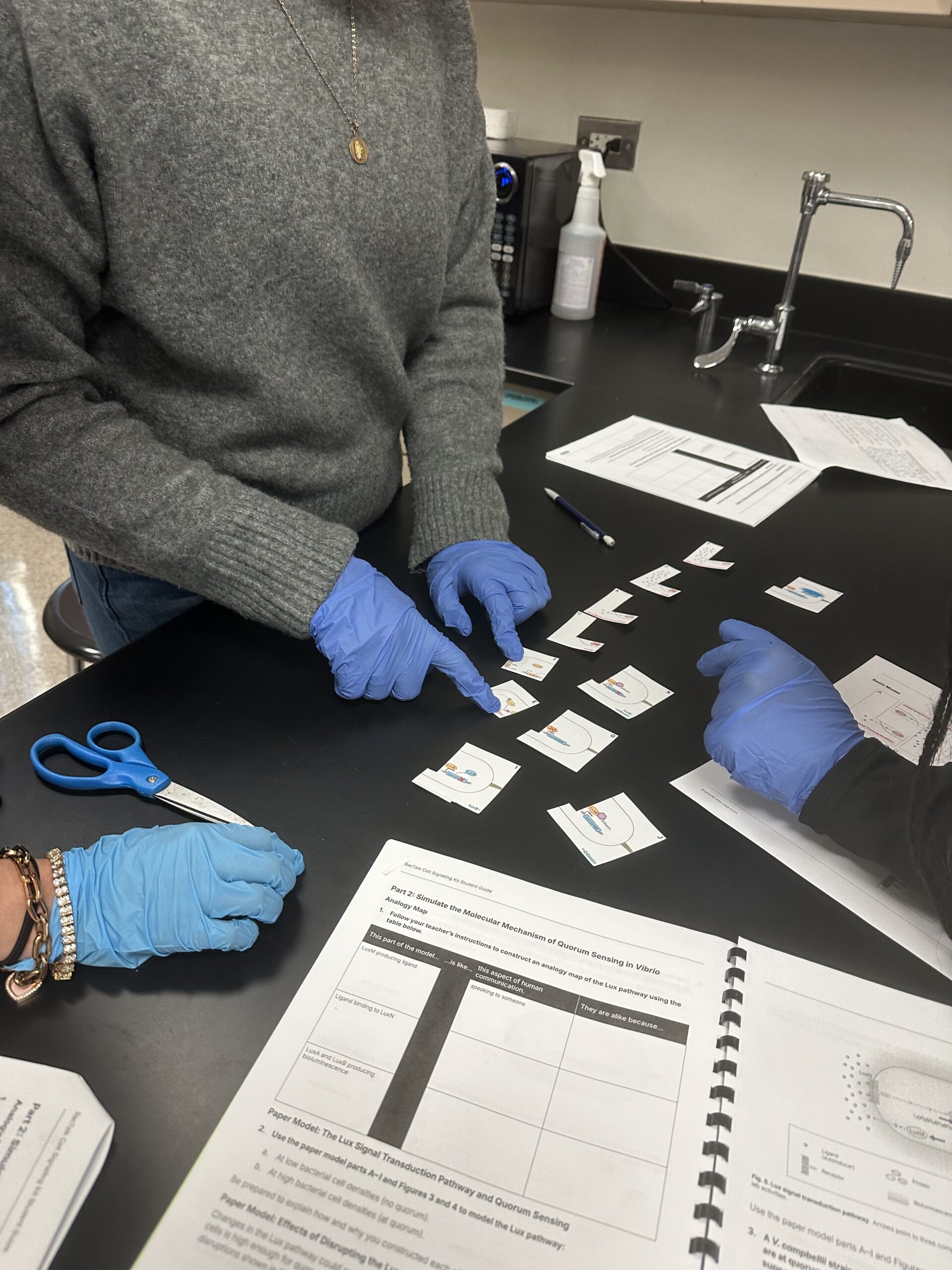 Image of students working on the Bio-Rad BacTalk Cell Signaling Kit