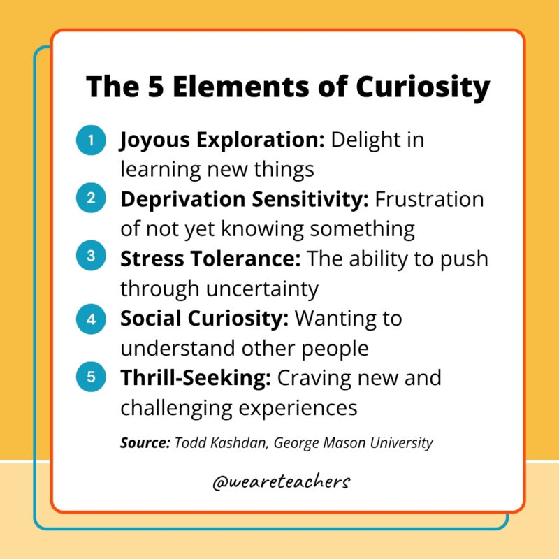 The 5 Elements of Curiosity