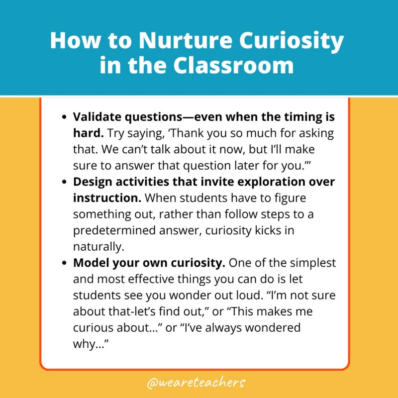 How to Nurture Curiosity in the Classroom